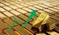 “热辣滚烫”的火锅界 打响价格战！